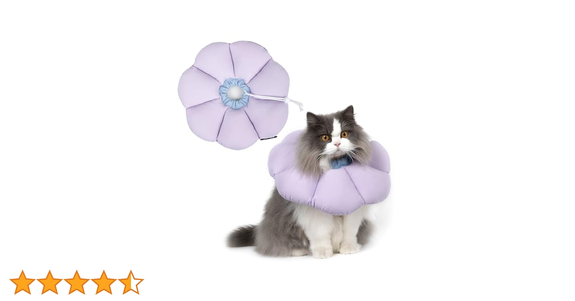 ayaka様ヘ専用犬と猫のイラスト バス用品 2-猫 水彩画風 ねこちゃん 猫バカ イラスト ポストカード ハガキ